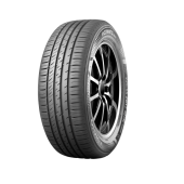 EcoWing ES31